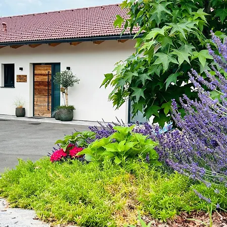 Traumhaus In Den Weinbergen - Max 8 Personen - Mit Self-check-in *