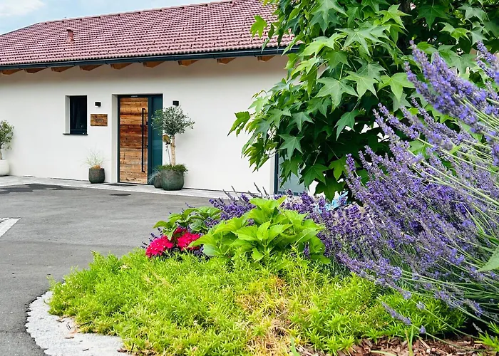 Traumhaus In Den Weinbergen - Max 8 Personen - Mit Self-check-in *