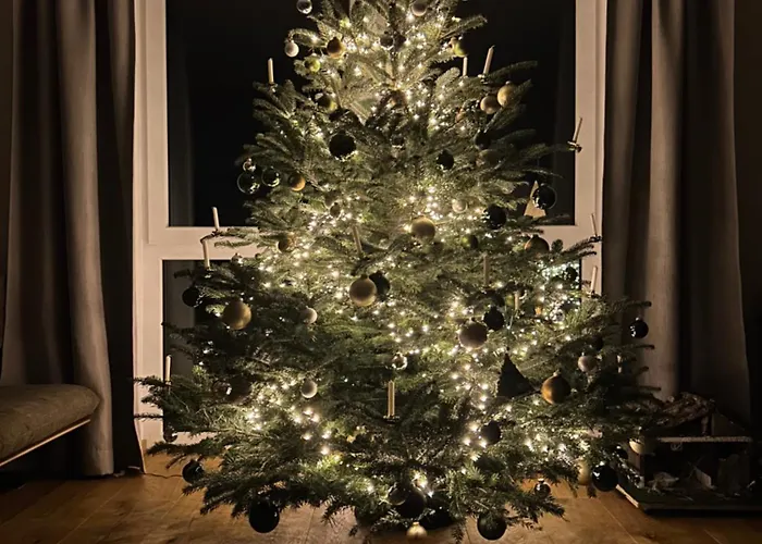 Villa Traumhaus In Den Weinbergen - Max 8 Personen - Mit Self-check-in *